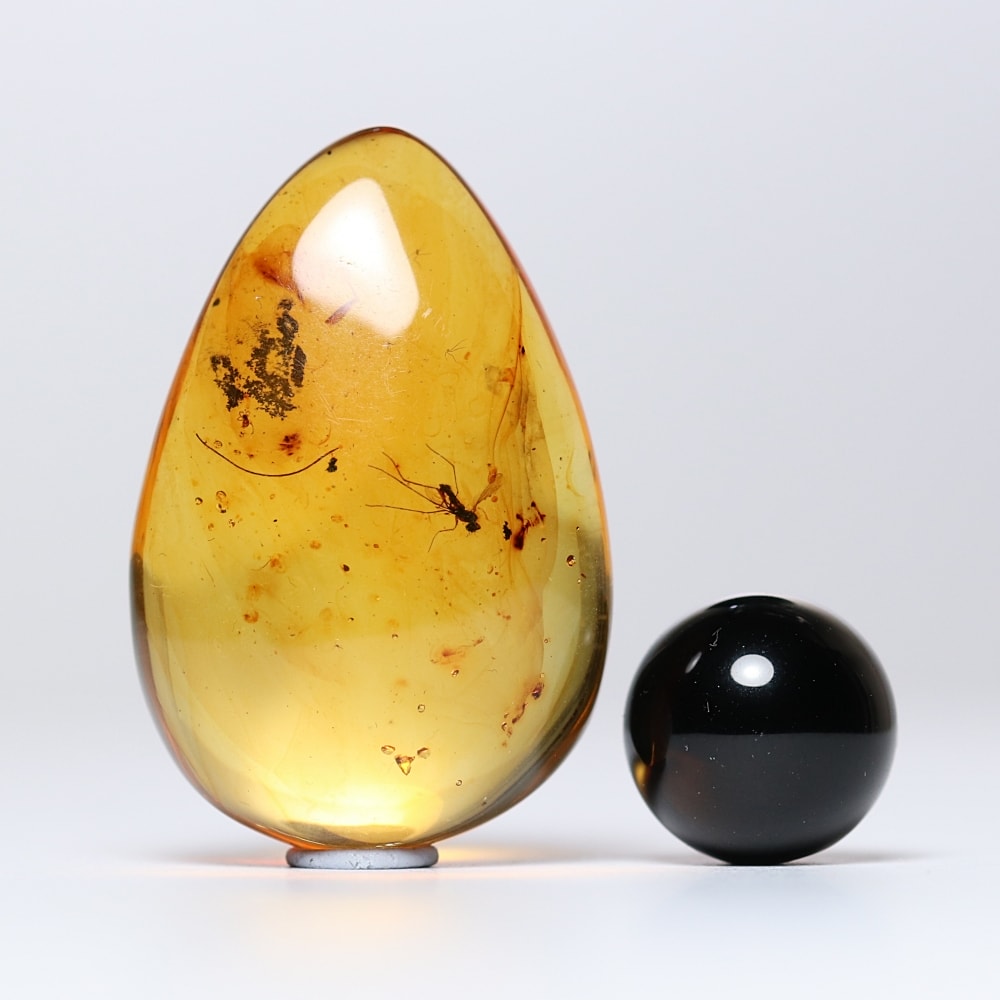 トップクォリティ]ドミニカ共和国産虫入り琥珀ルース（天然イエロー