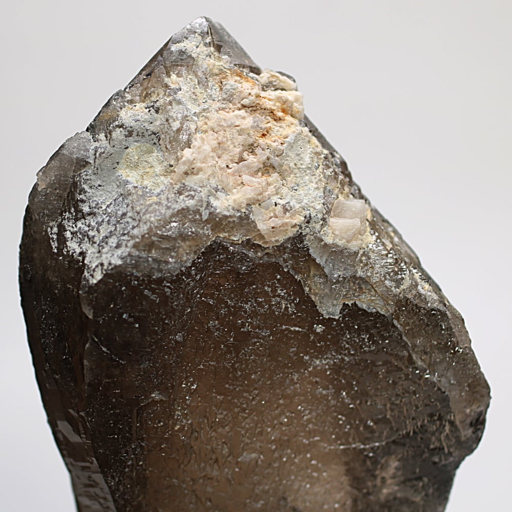 さい トップガウリシャンカール12ムキマーラー さい トップガウリ