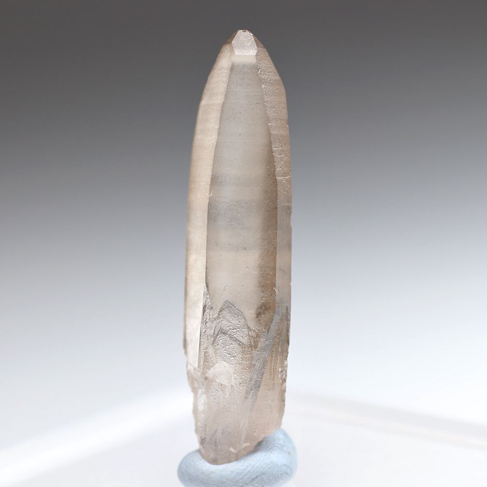 トップクォリティ・ブラジル/セーラデカブラル産]レムリアンシード