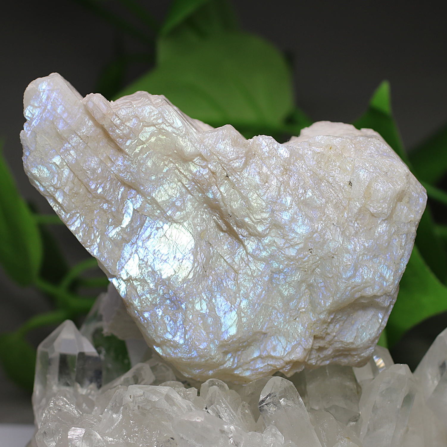 ホワイトラブラドライト原石rm08 ホワイトラブラドライト（インド産