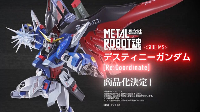 新品】メタルロボット魂 デスティニーガンダム［Re:Coordinate］ 新品