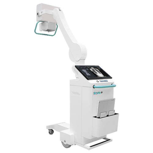 Simply DR - Ibis Ray