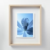 山口一郎 「HANA-green」 IDEE イデー アート フレーム 定番品】山口