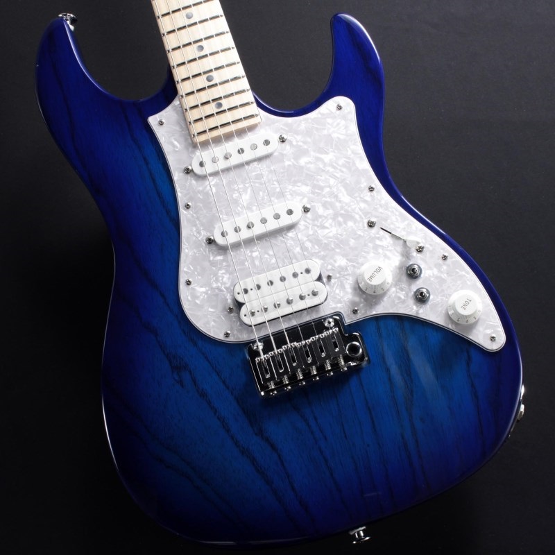 FUJIGEN(フジゲン) EOS-ASH-M/WR/04 FGN FgN フジゲン EOS-ASH-M / SBB