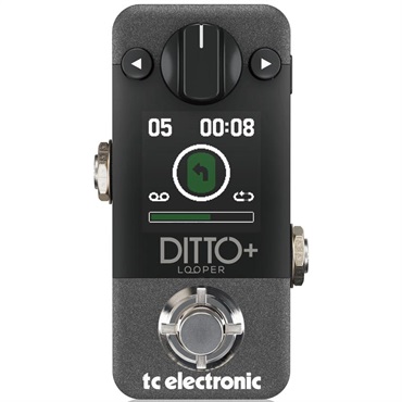 tc electronic DITTO+ ※国内正規品（ティーシーエレクトロニック