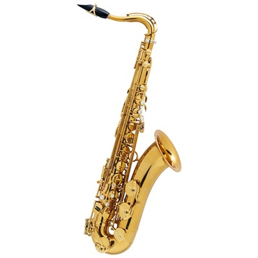 Selmer Paris アルトサックス セルマー SA-80II(シリーズ2) ジュビリー