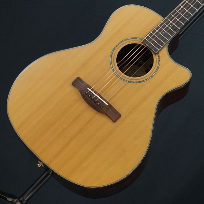 Fender GA45SCE アコースティックギター ハードケース付き 中古品