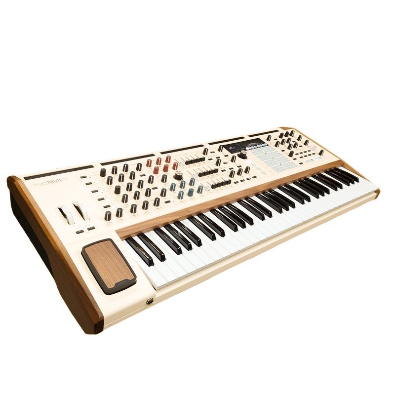 Arturia 【展示クリアランス超特価！】POLYBRUTE 12 (12音ポリ