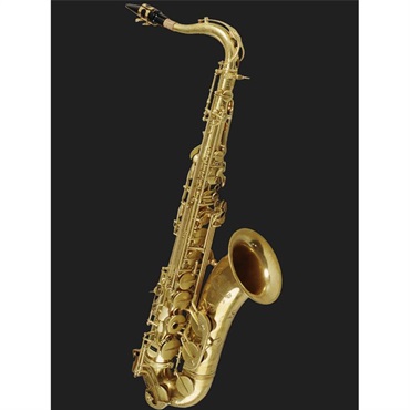 Cannonball 【お取り寄せ商品】アルトサックス キャノンボールA5-HS