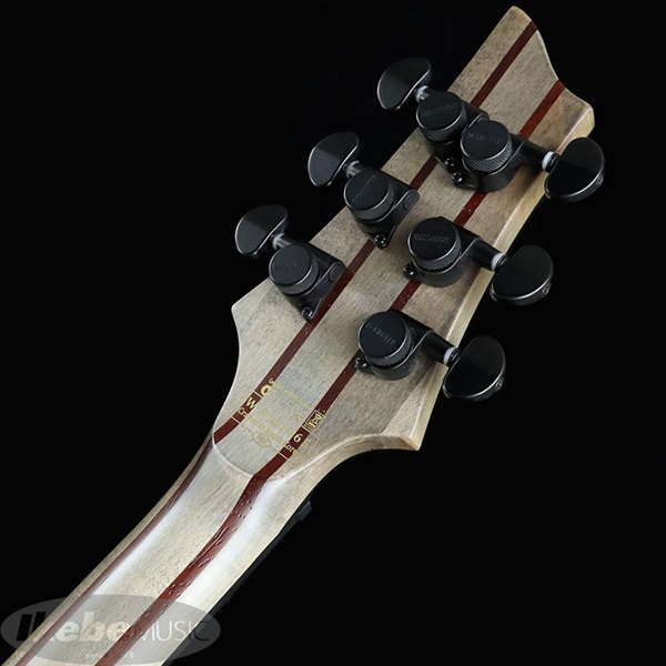 SCHECTER C-1 APOCALYPSE [AD-C-1-APOC] (RDR) ｜イケベ楽器店