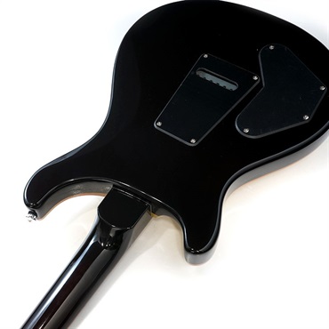 P.R.S. SE DGT (Gold Top / Moon Inlays) ｜イケベ楽器店オンラインストア