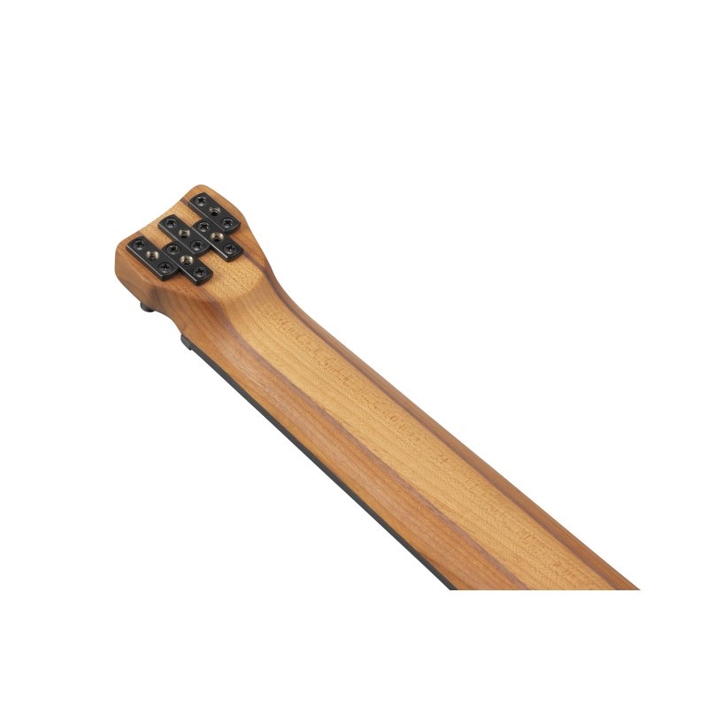 Ibanez Bass Workshop EHB1005F-AOM [SPOT MODEL] ｜イケベ楽器店