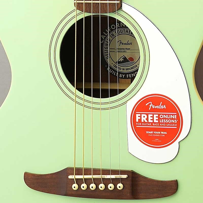 Fender Acoustics 【半期決算セール】【数量限定特価】Fender