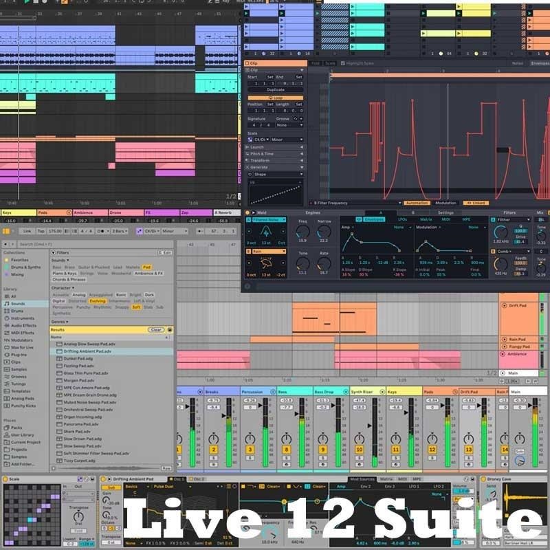 ableton 【半期決算セール】PUSH 3 コントローラーバージョン Live12