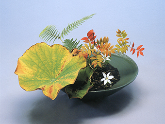 備前焼 花器 茶道具 池坊 自由花 備前焼花器茶道具池坊自由花