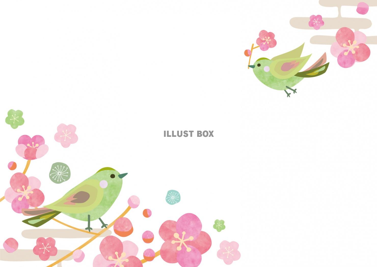 春の花_梅とうぐいすフレーム3：イラスト無料