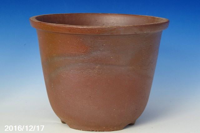 山野草の石田精華園 / 丹波焼植木鉢 丹満作 型鉢 登窯 朝顔鉢・菊鉢 6