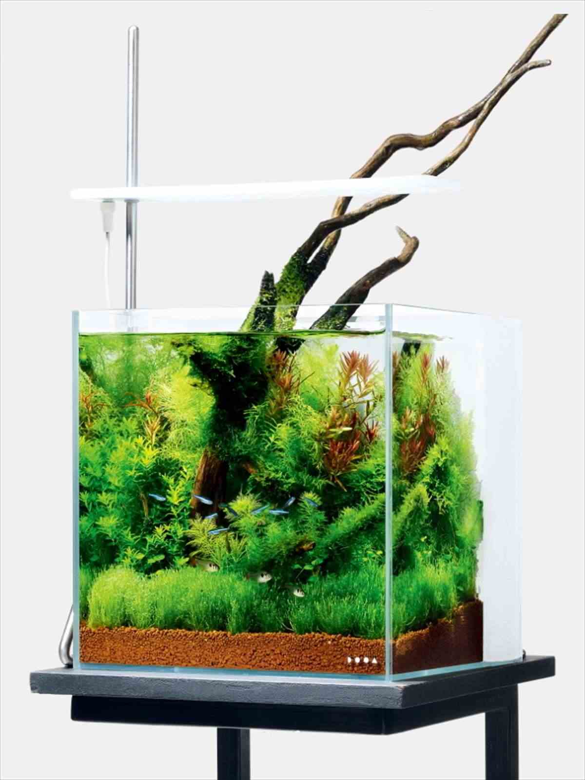 ADA DOOA システムパルダ30+パルダライト30 セット ADA DOOA システム