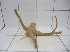 ADA ブランチウッドの販売(アクアマリン熊本)