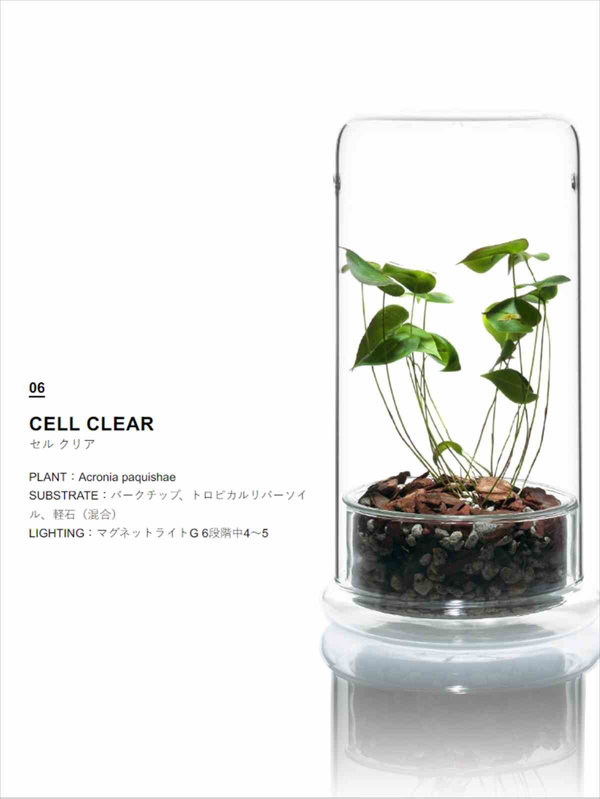 DOOA DOOA CELL クリアの販売 (アクアマリン熊本)
