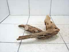 ADA スリムウッドの販売(アクアマリン熊本)