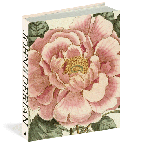 2_3D-cover_500x.gif?v=1718945781