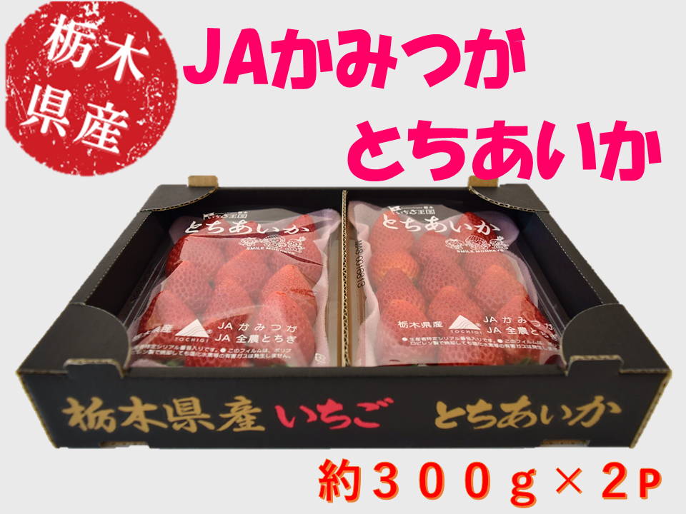 苺 とちあいか (約300g×2パック) 栃木県 JAかみつが産: とちぎ新鮮倉庫