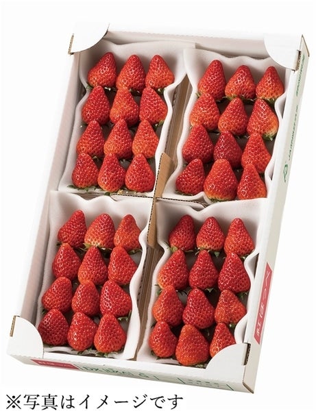 JA静岡市】静岡いちご 紅ほっぺ DX 4パック入: ブランドショップ