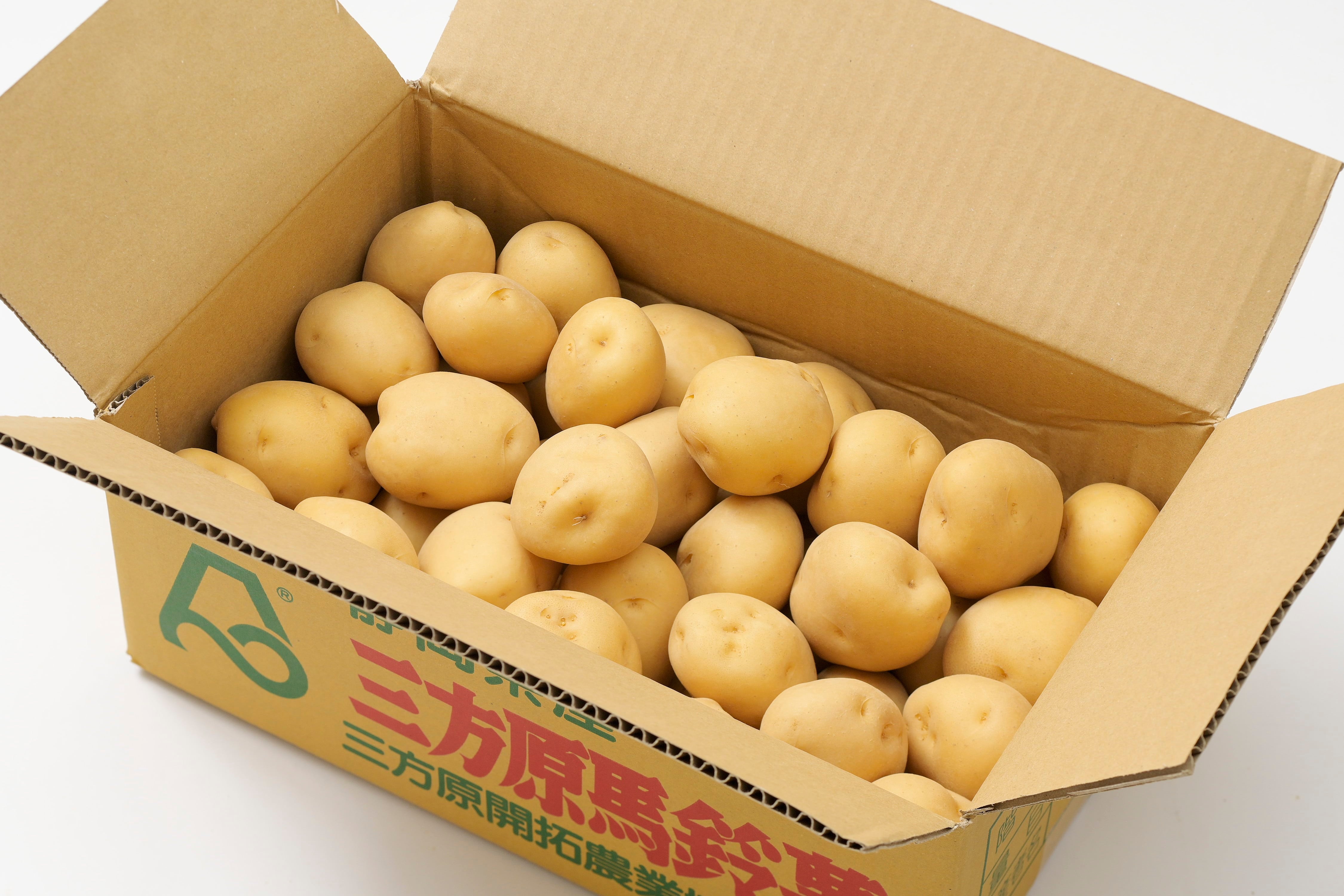 三方原馬鈴薯（男爵）10kg（5kg×2） Mサイズ JA三方原開拓