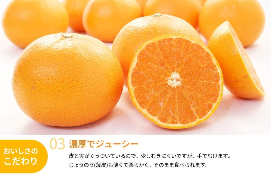 せとか 約4kg（18～28玉入り） ＜3月中旬より順次発送＞(紀南): ココ