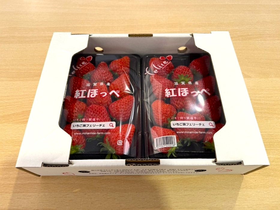 いちご☆様♡専用ページです。 いちご様オーダー専用ページ いちご様