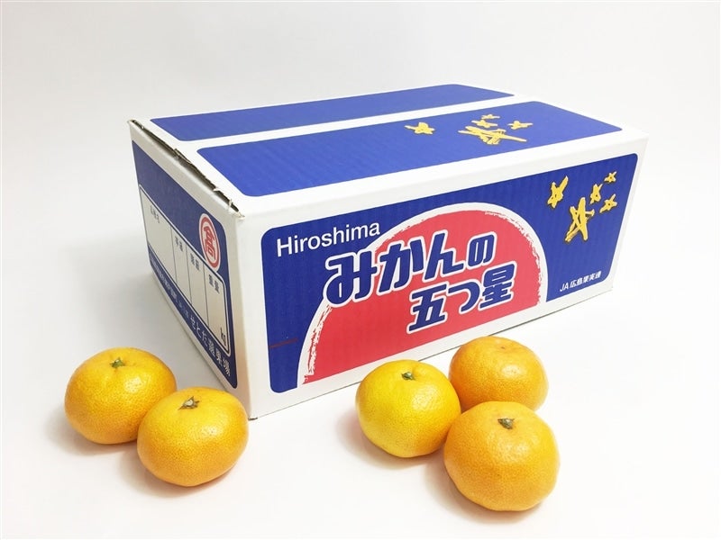 みかん♪♪♪ みかん みかん様 ミカン様 ミカン様 蜜柑様 レビュー】ZX