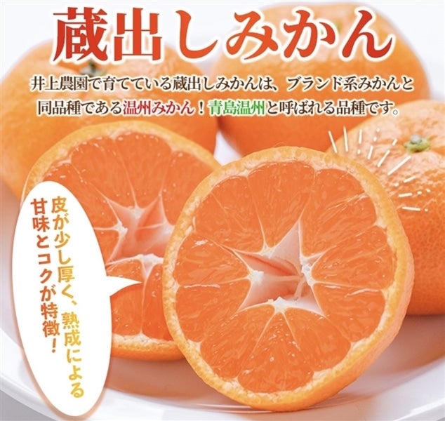 農家直送！井上農園 蔵出しみかん 5kg（大分県宇佐市産 青島温州