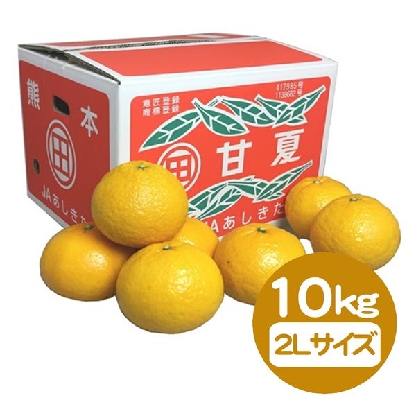 3月お届け】甘夏 10kg（2L玉／25玉前後）: JAあしきた|【JAタウン