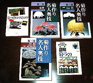 日本の華「キク」 -- 公益社団法人農林水産・食品産業技術振興協会 --