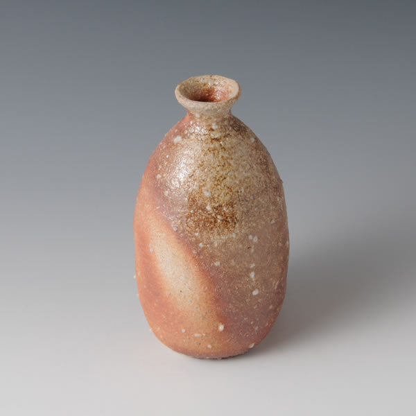 Japan Pottery Net / 信楽徳利 C