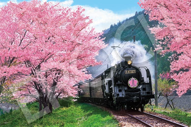 EPO-09-020s 風景 桜と大井川鐵道-静岡 1000ピース エポック社 の商品