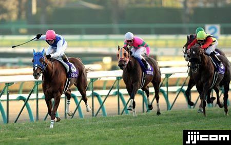 ◎ダイワスカーレット 有馬記念を制したダイ…：時代を駆け抜けた名馬