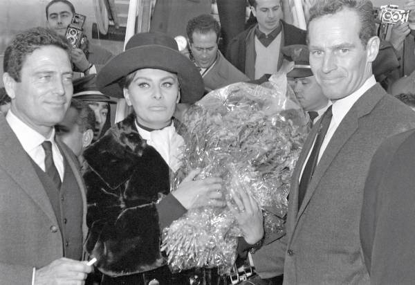 ソフィア・ローレン(2) 俳優のチャールトン・ヘス…：麗しの大女優