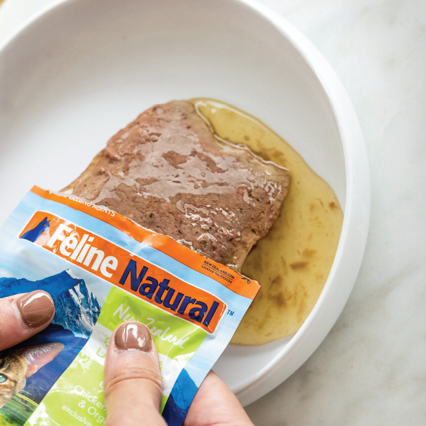 FLチキン＆ラム・フィースト 85g｜キャットフード｜K9ナチュラル公式