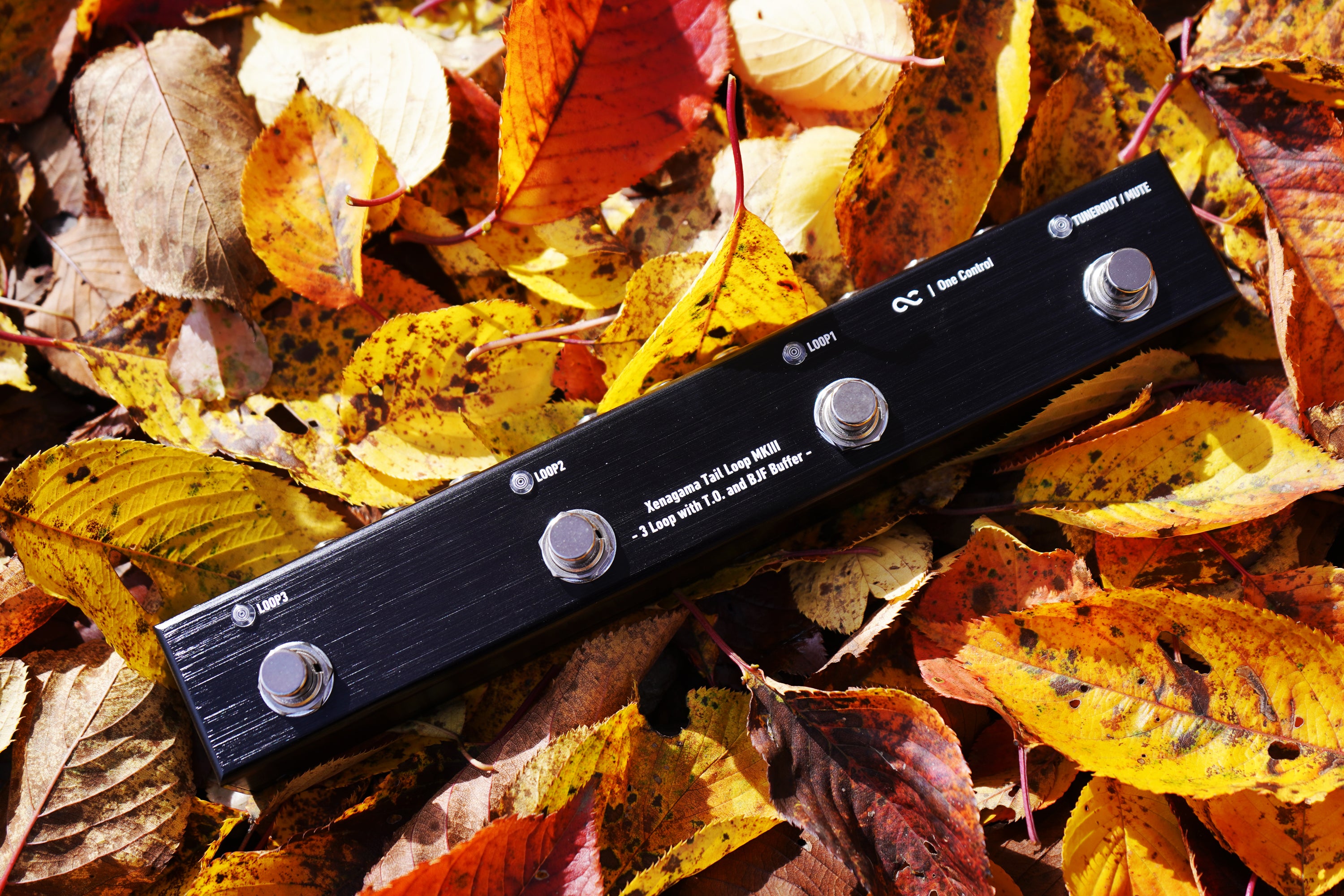 期間限定DCケーブル付属!】One Control Xenagama Tail Loop MKIII - 3