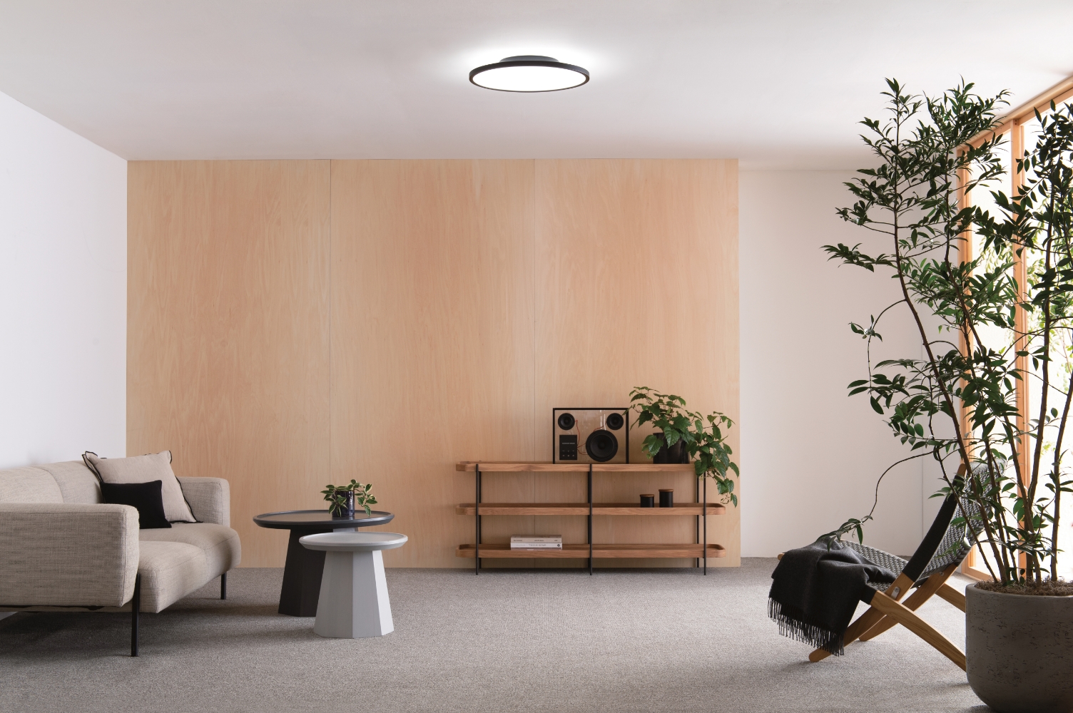 新品開封のみ オーデリック OL 291 618BR LEDシーリングライト 楽天