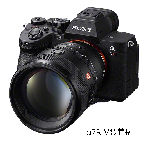 荻窪カメラのさくらや / ソニー FE 85mm F1.4 GM II [SEL85F14GM2]【冬