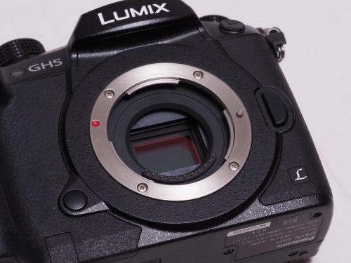 荻窪カメラのさくらや / パナソニック DC-GH5 ボディ 【中古】(B:486)