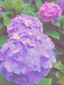 鴨居玲 裸婦 | 絵画など美術品の販売と買取 | 東京・銀座 おいだ美術