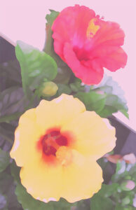 ヒロヤマガタ 日本のエッセンス 祇園祭 | 絵画など美術品の販売と買取