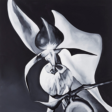 五木田智央 PEEKABOO［展覧会について］｜東京オペラシティアート