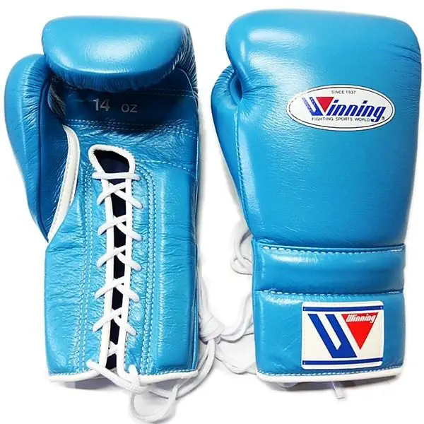 PRIZE RING ボクシンググローブ 14oz とパンチングミット PRIZE RING