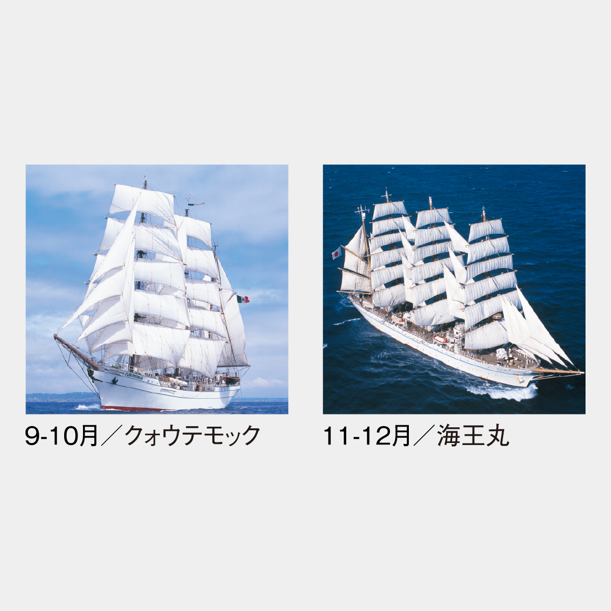 SG-511 【フィルム】世界の帆船2026年版の名入れカレンダーを格安で