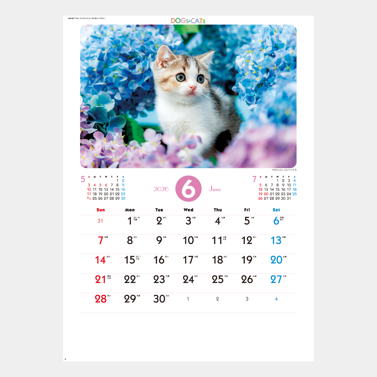 SP-65 ラブリードッグ＆キャット2026年版の名入れカレンダーを格安で
